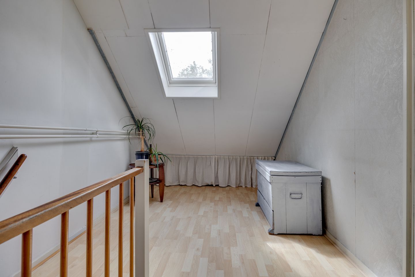 Foto 19 van Dashorst 14