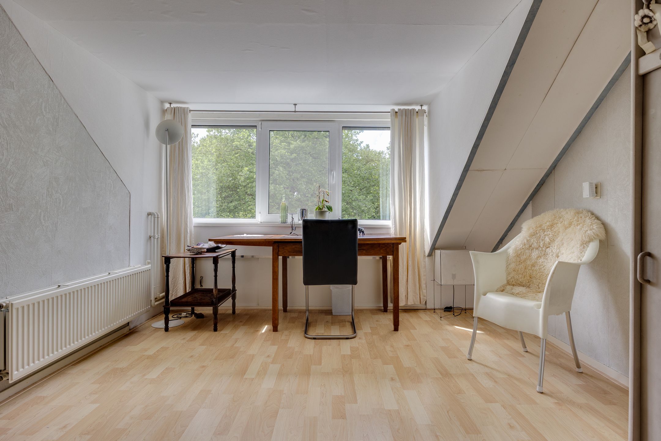 Foto 21 van Dashorst 14