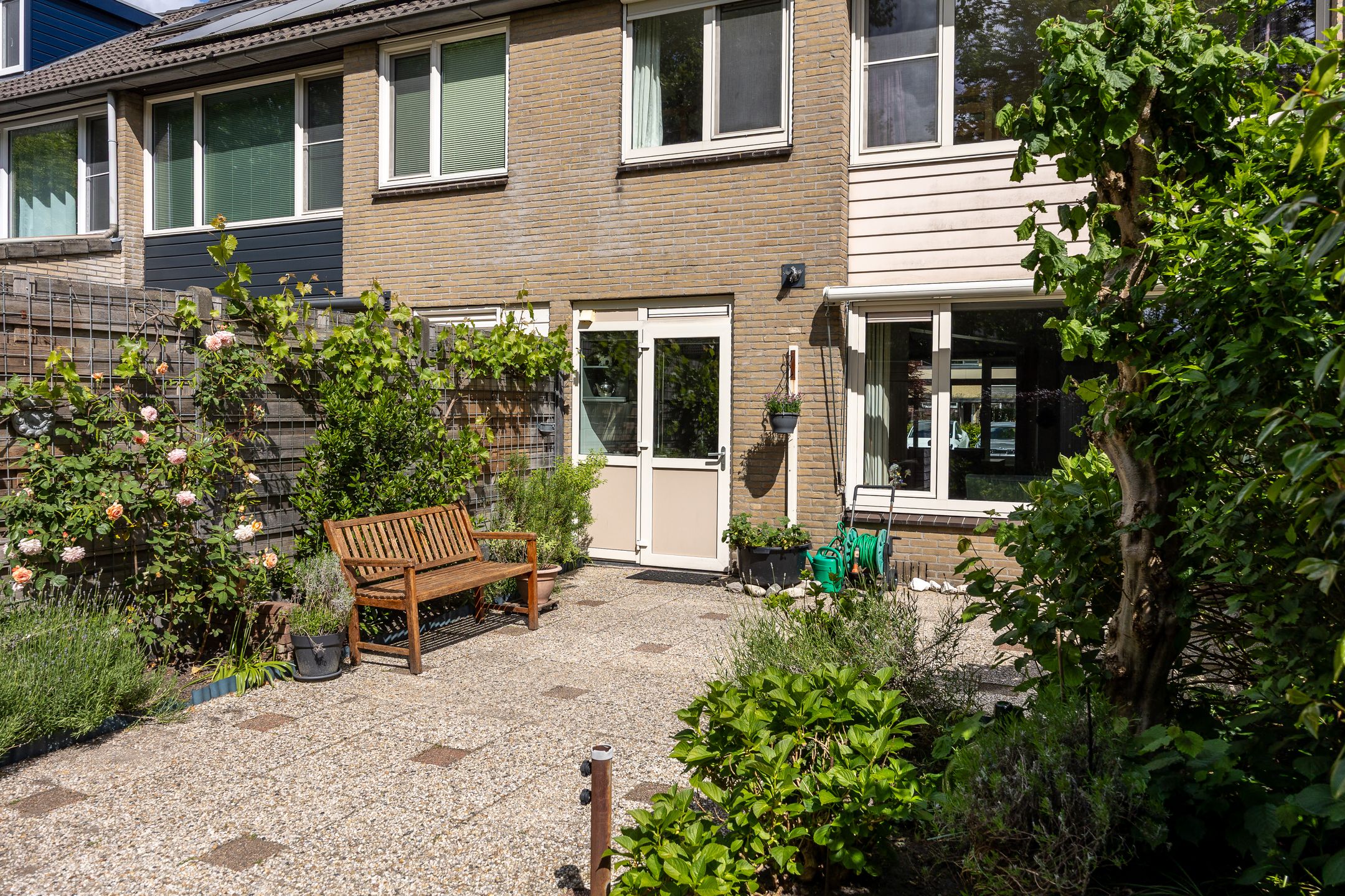 Foto 24 van Dashorst 14