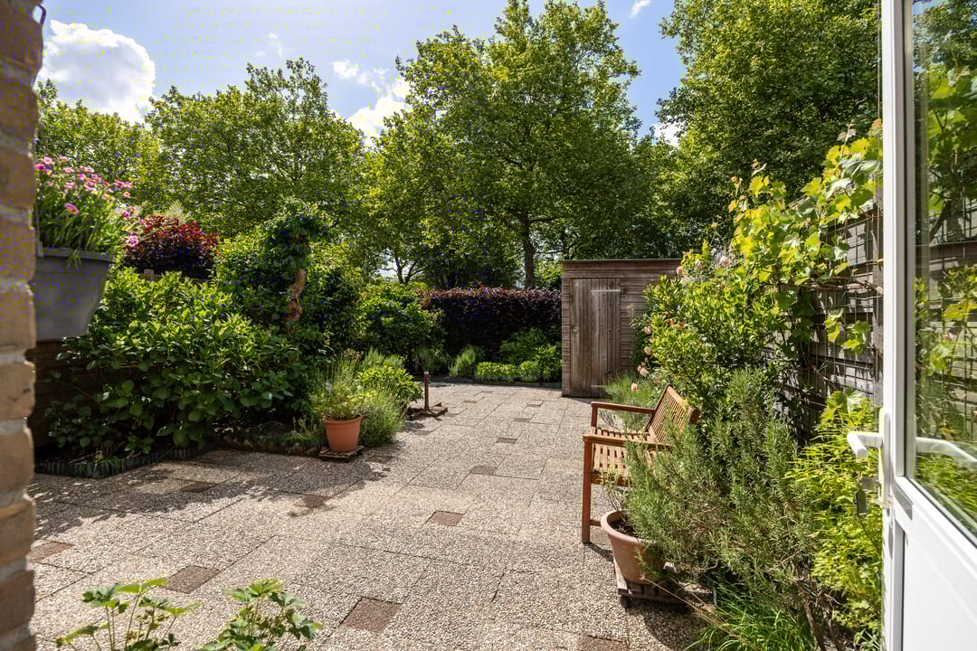 Foto 26 van Dashorst 14