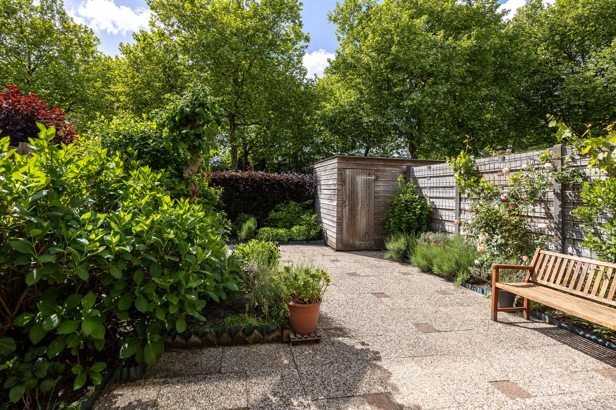 Foto 27 van Dashorst 14