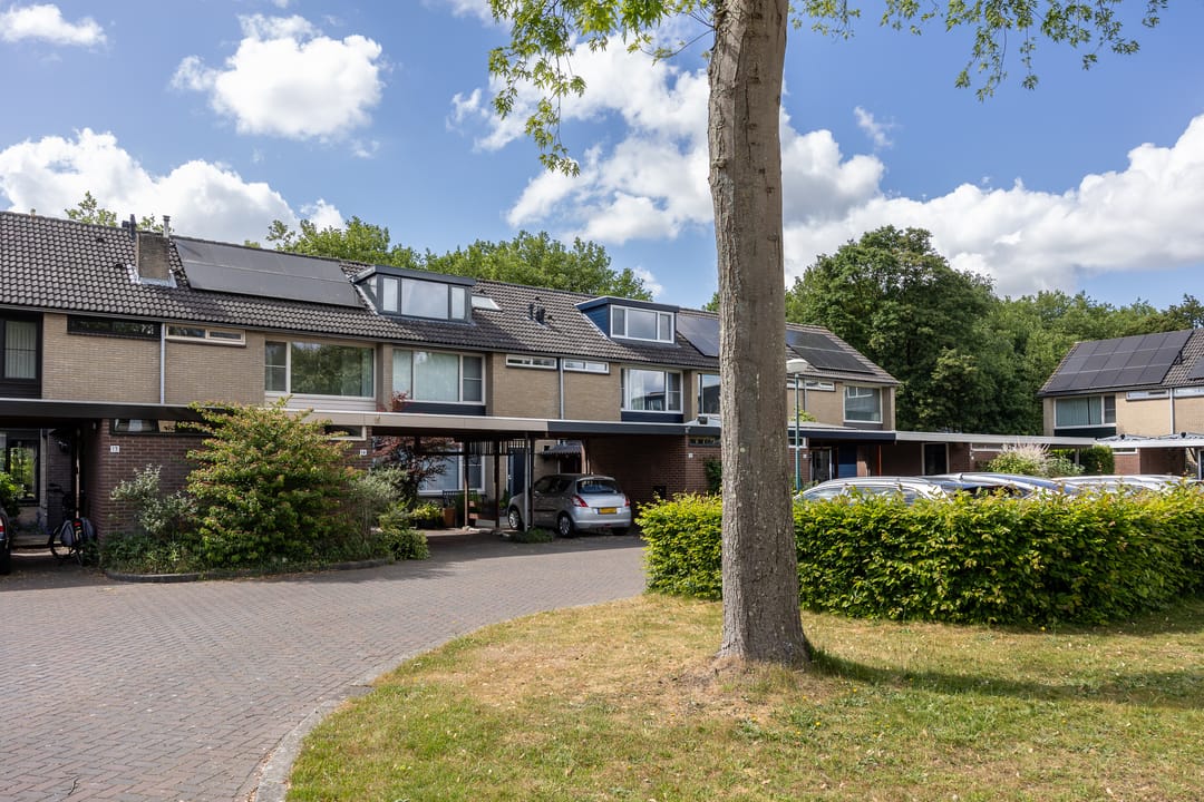 Foto 28 van Dashorst 14