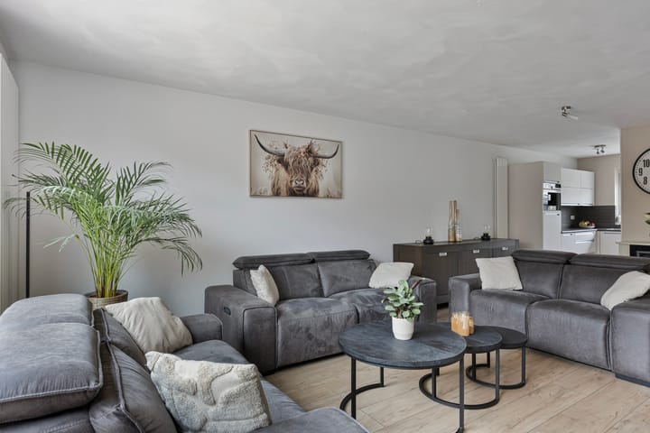 Foto 5 van Harnas 17