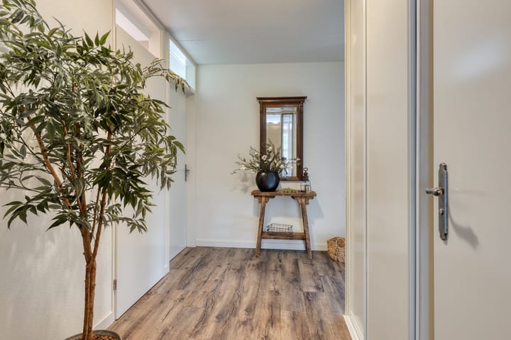 Foto 18 van Carel Looierstraat 3-17