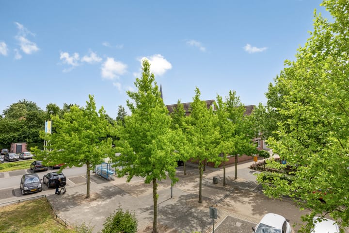 Foto 26 van Carel Looierstraat 3-17