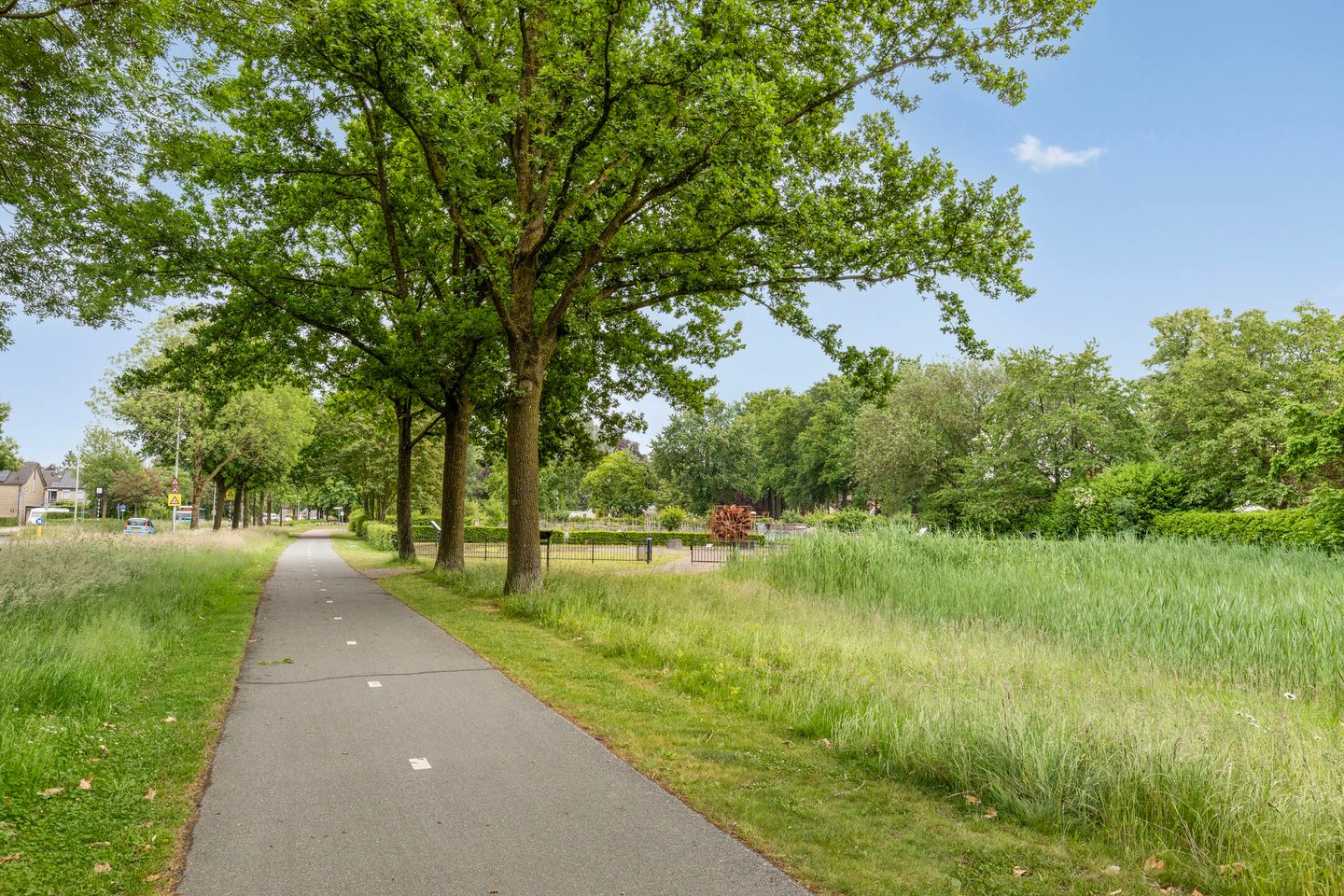 Foto 49 van Carel Looierstraat 3-17