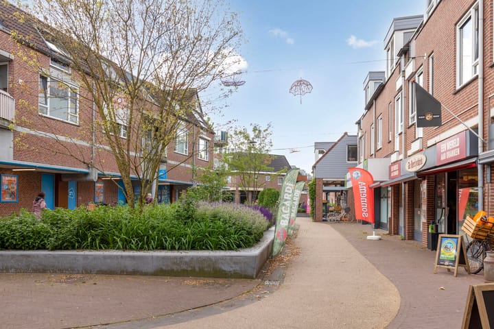 Foto 51 van Carel Looierstraat 3-17