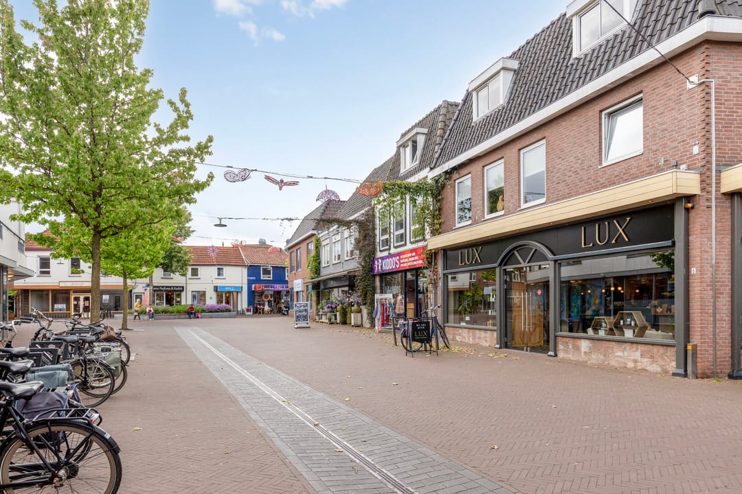 Foto 52 van Carel Looierstraat 3-17