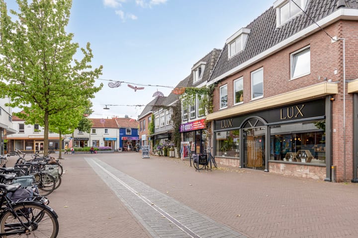 Foto 52 van Carel Looierstraat 3-17