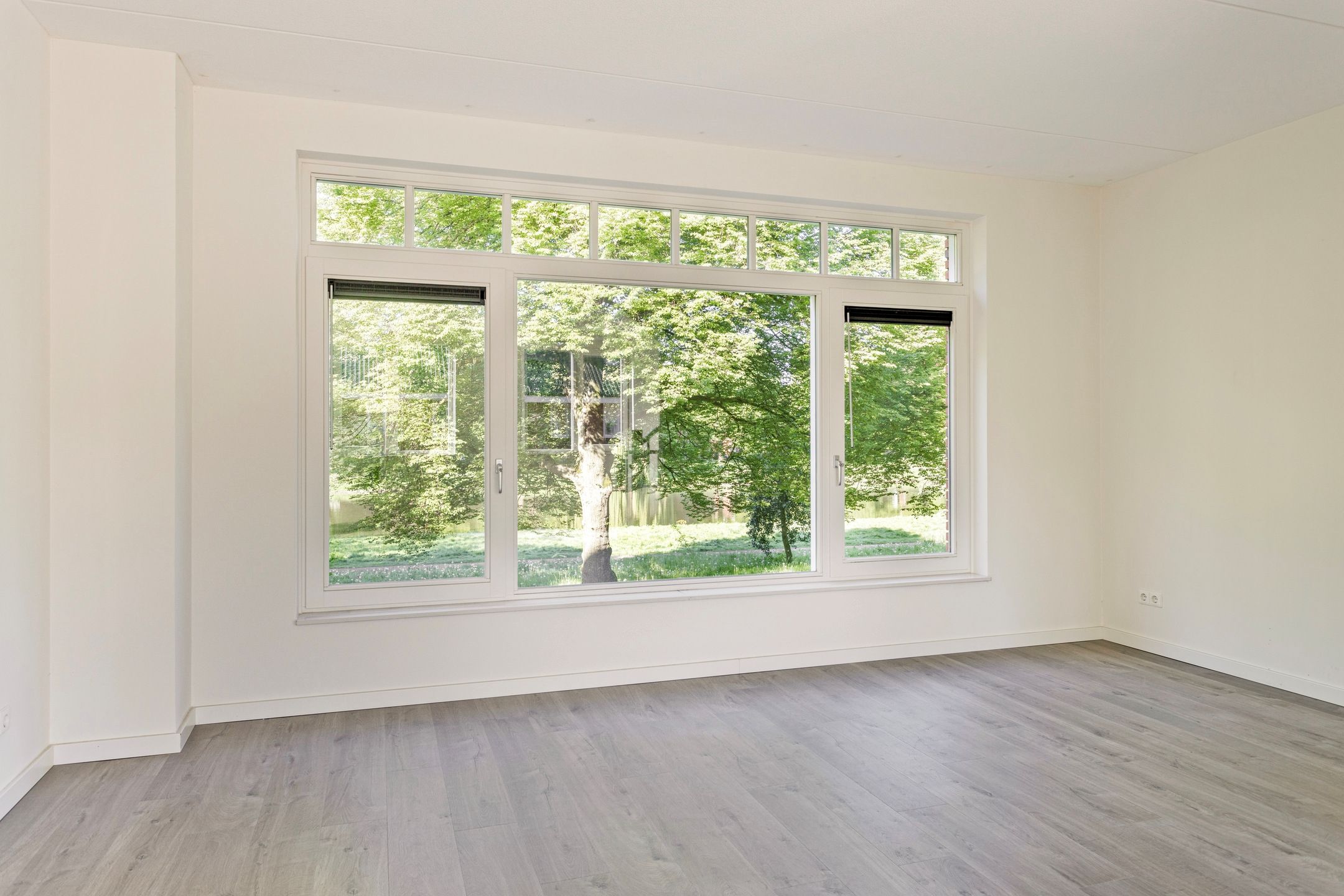 Photo 6 of Pioenstraat 179