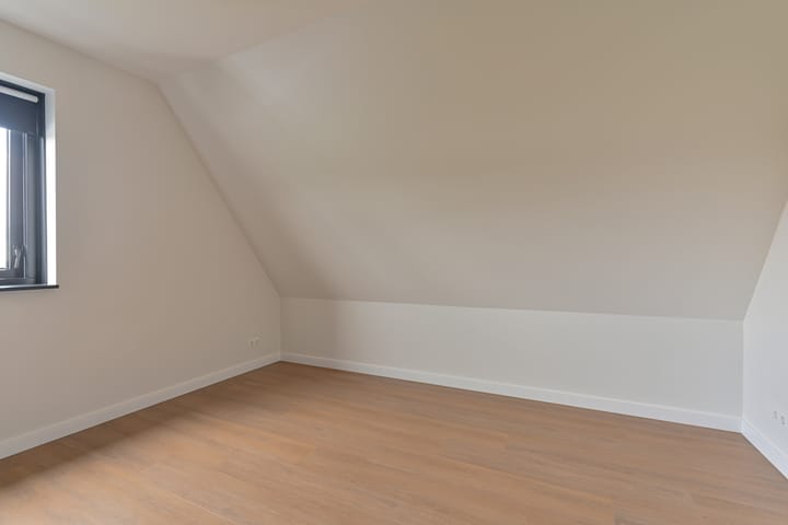 Foto 56 van Splitting 3