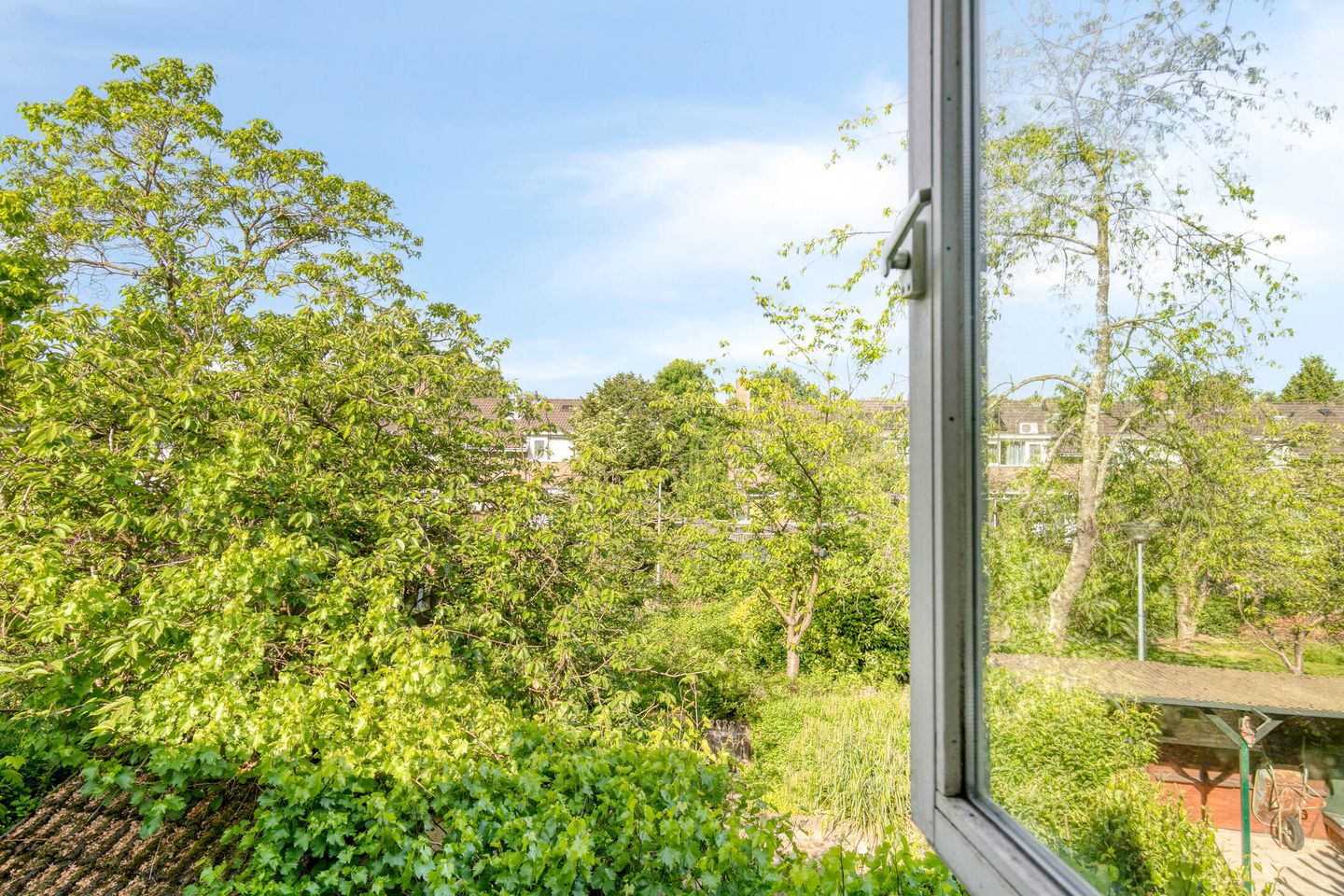 Foto 19 van Hovendaal 37