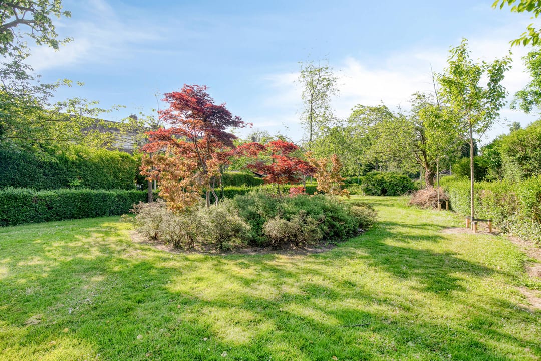 Foto 23 van Hovendaal 37