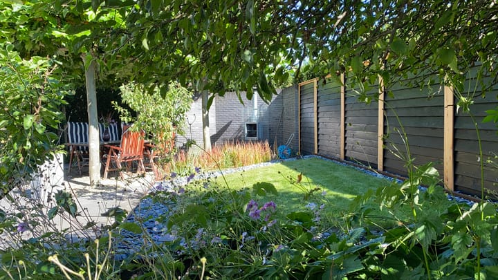 Foto 19 van Mesdagstraat 12