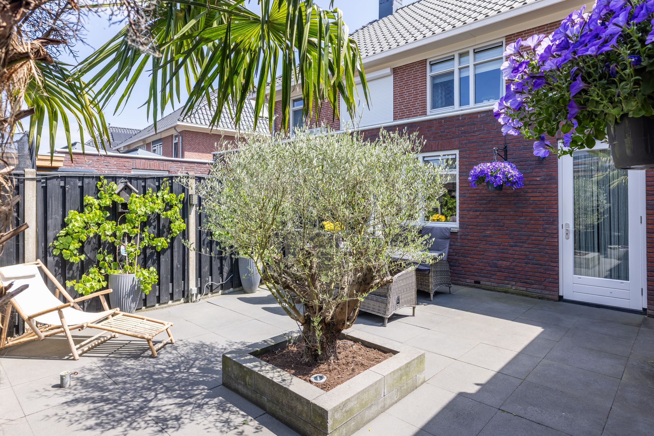 Foto 51 van Speenkruid 28