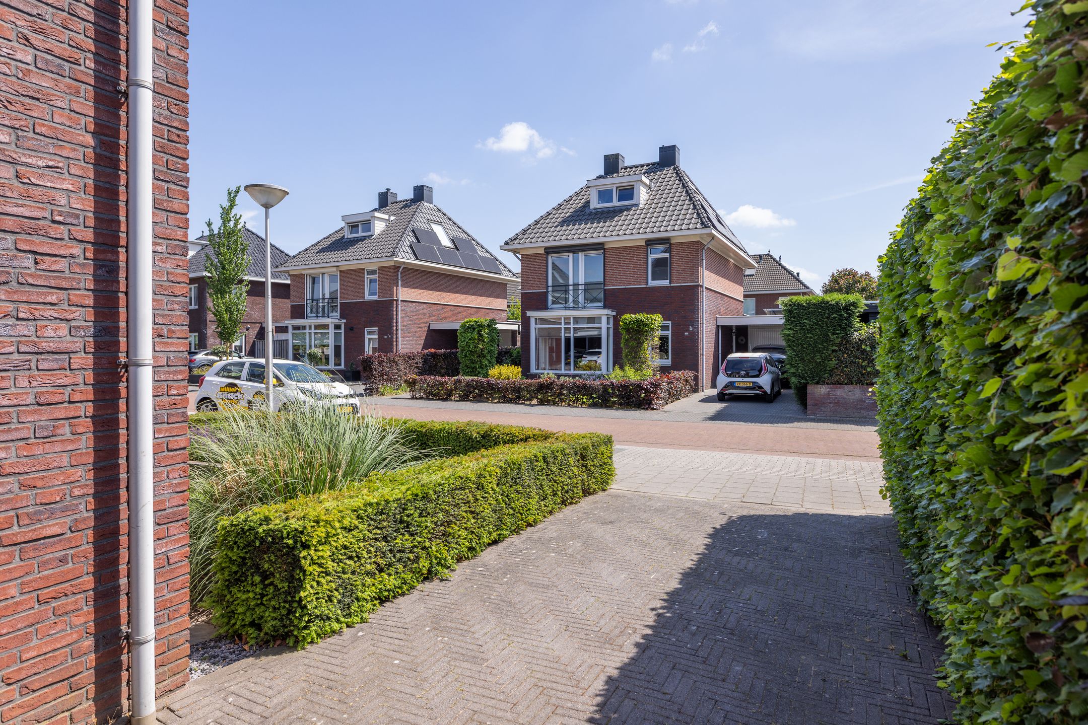 Foto 63 van Speenkruid 28