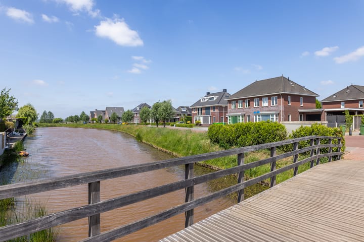 Foto 65 van Speenkruid 28