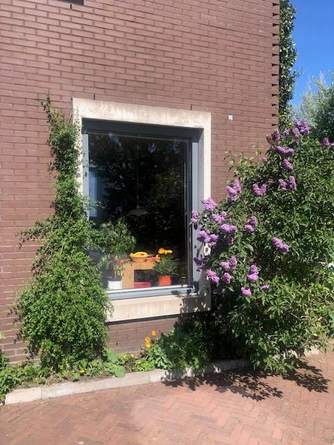 Foto 8 van Ellensmolen 22