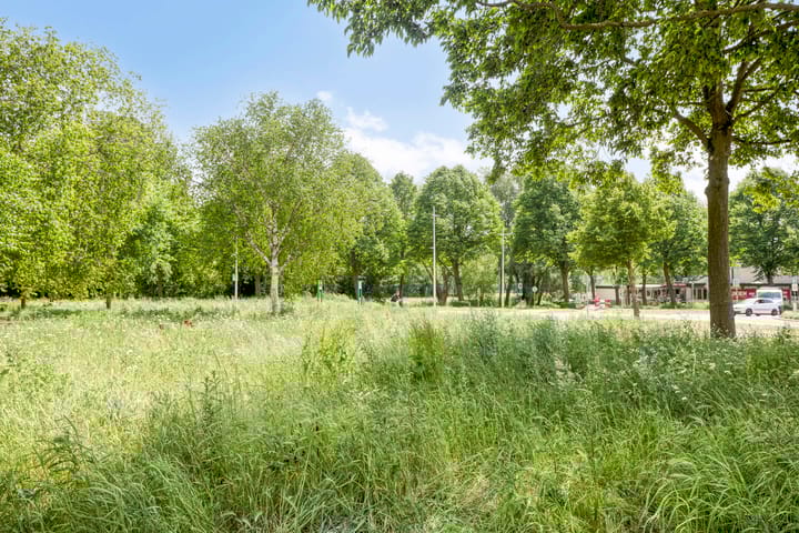 Photo 41 of Oostzeestraat 33