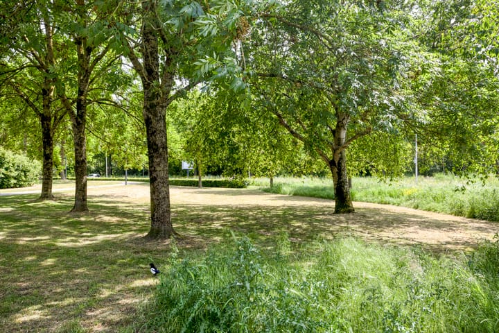 Photo 42 of Oostzeestraat 33