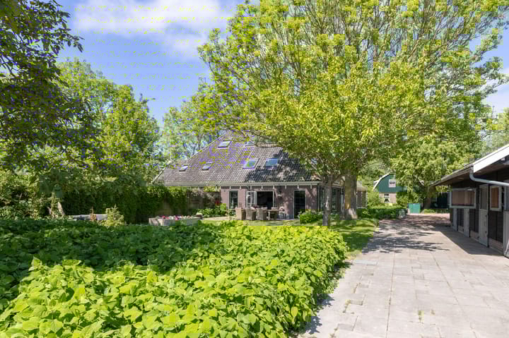 Foto 3 van Knokkel 42