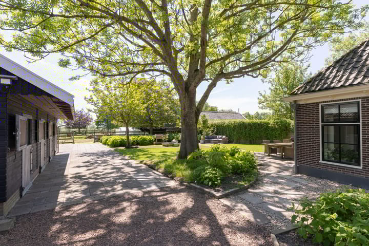 Foto 5 van Knokkel 42