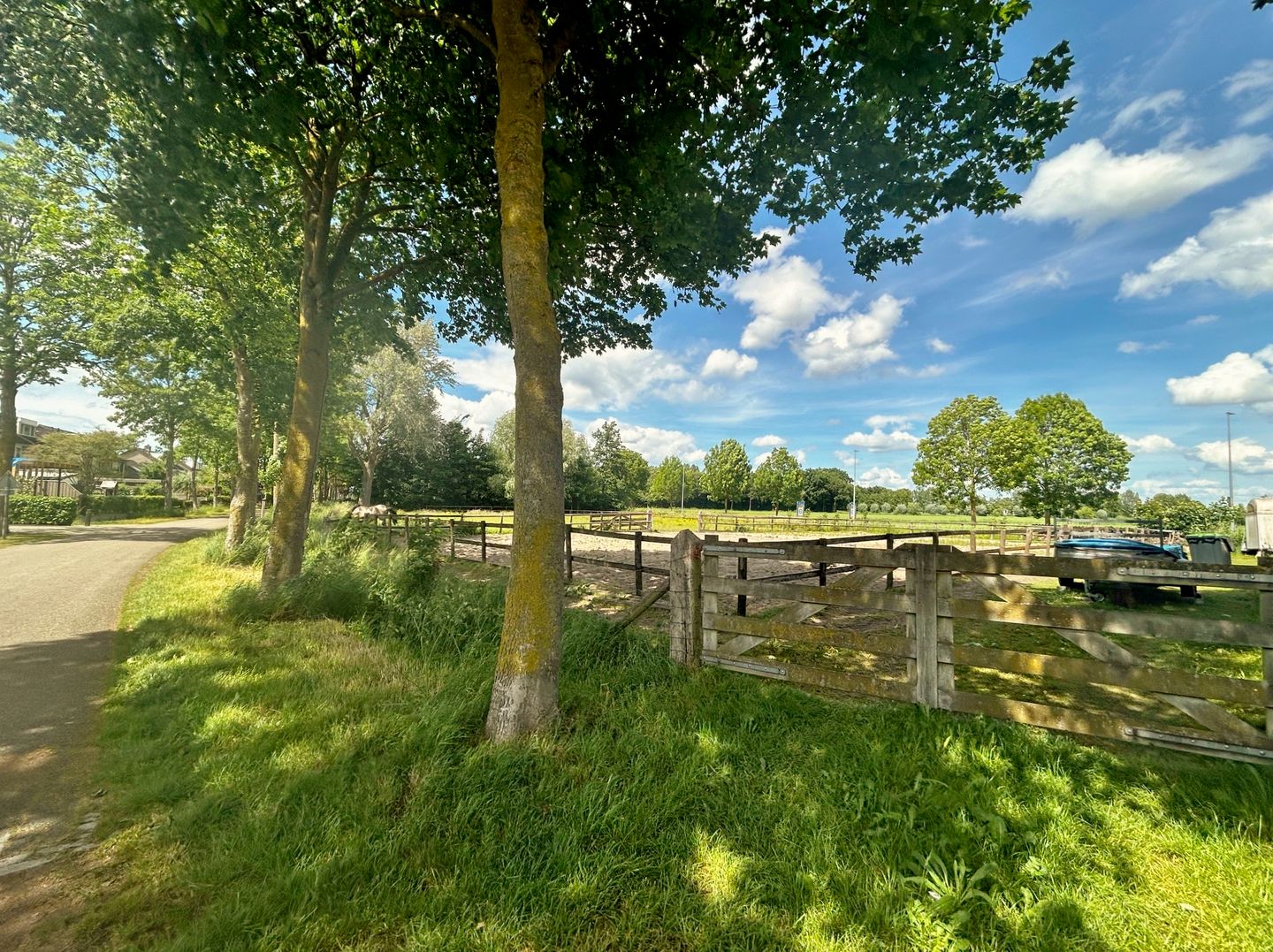 Foto 19 van Pluutstraat 130