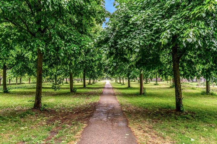 Foto 42 van Kristalwater 42