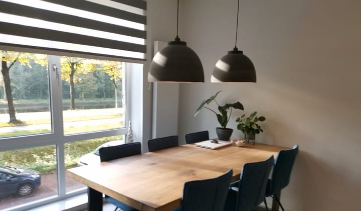 Foto 6 van Sigmaplantsoen 617