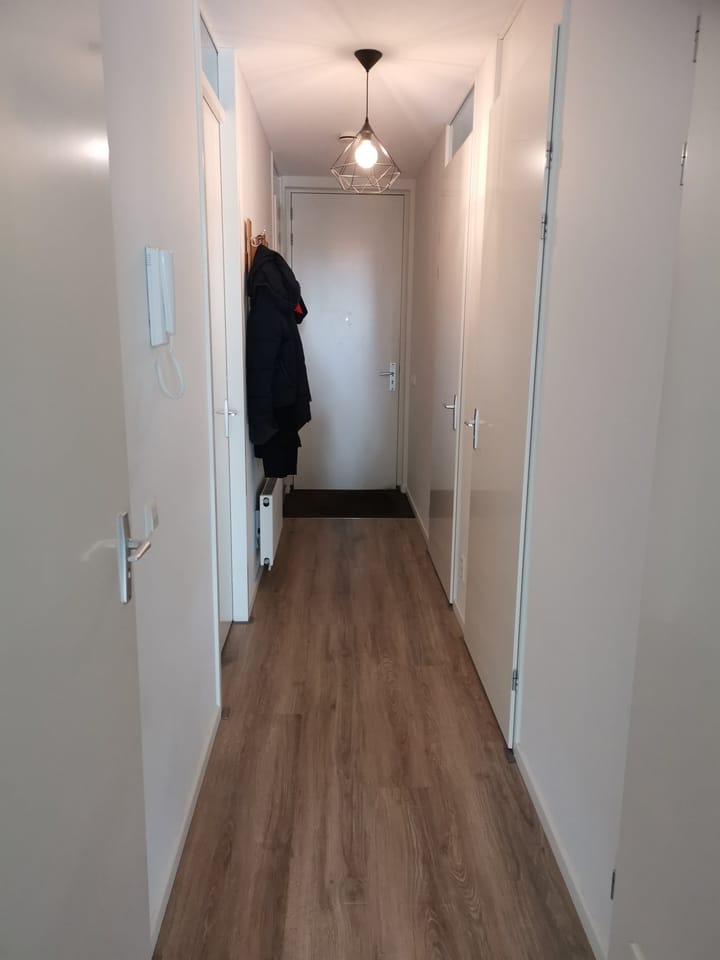 Foto 11 van Sigmaplantsoen 617