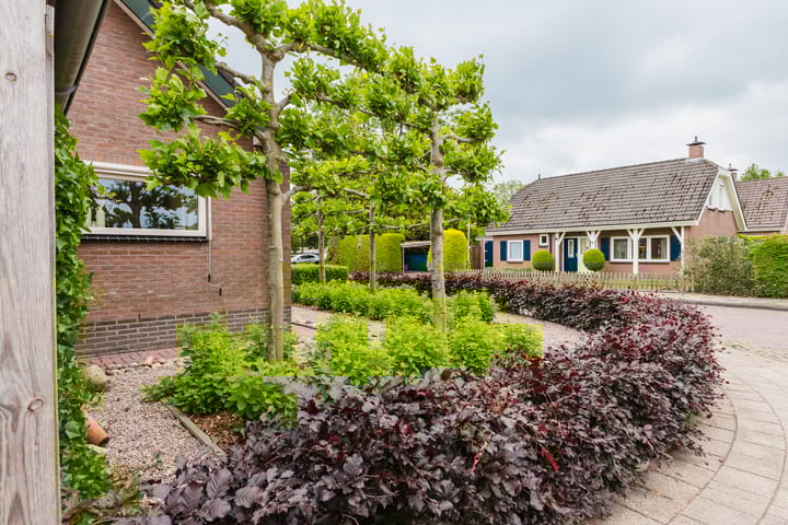 Foto 24 van Master Roordawei 12