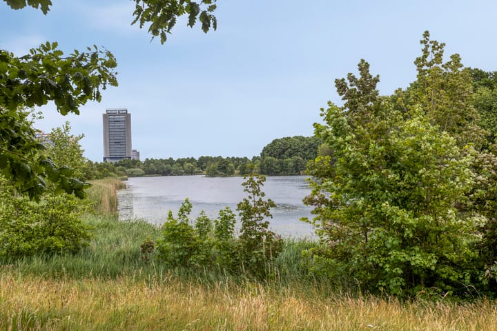 Foto 20 van Sweelinckplein 59