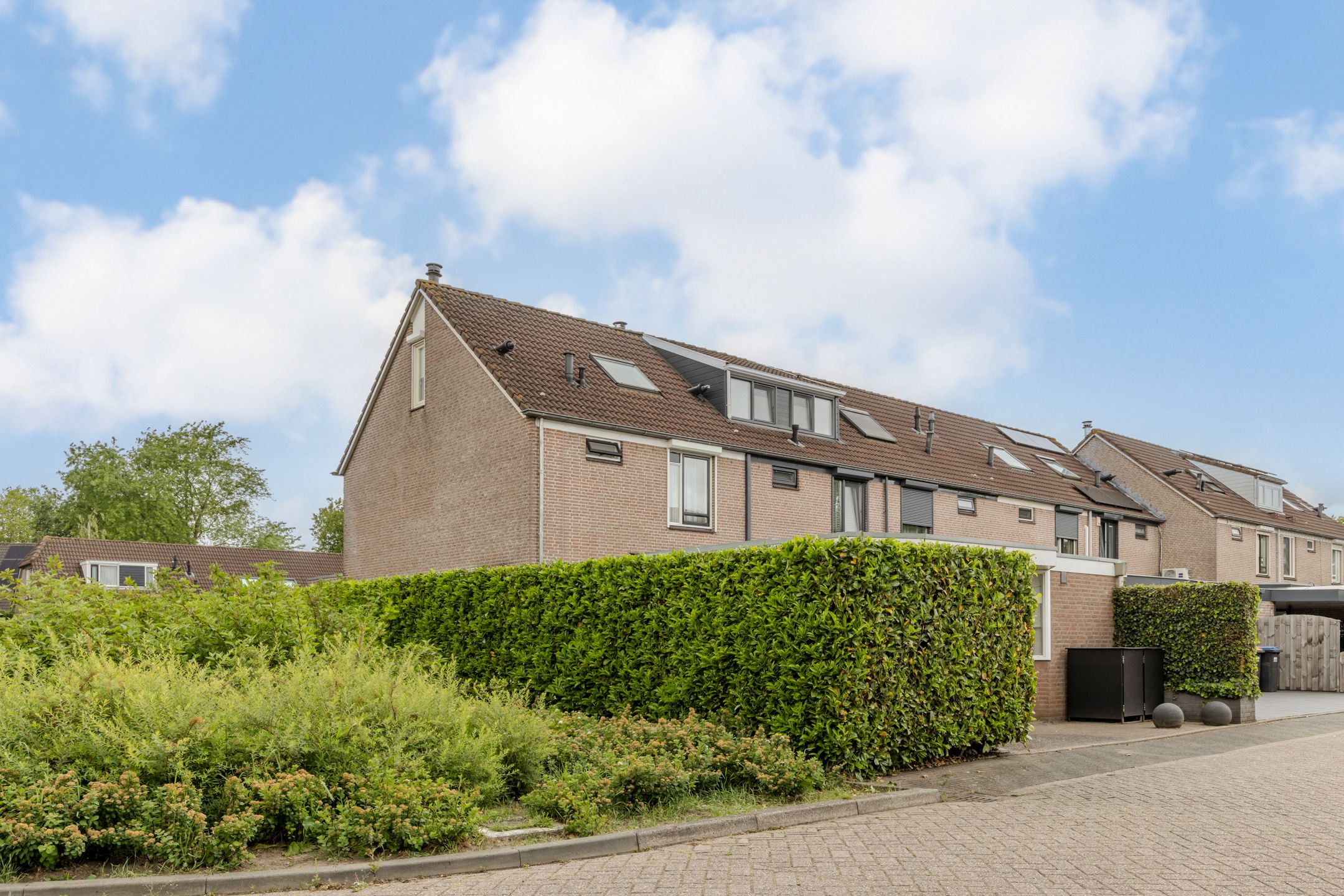 Foto 48 van Grutto 1