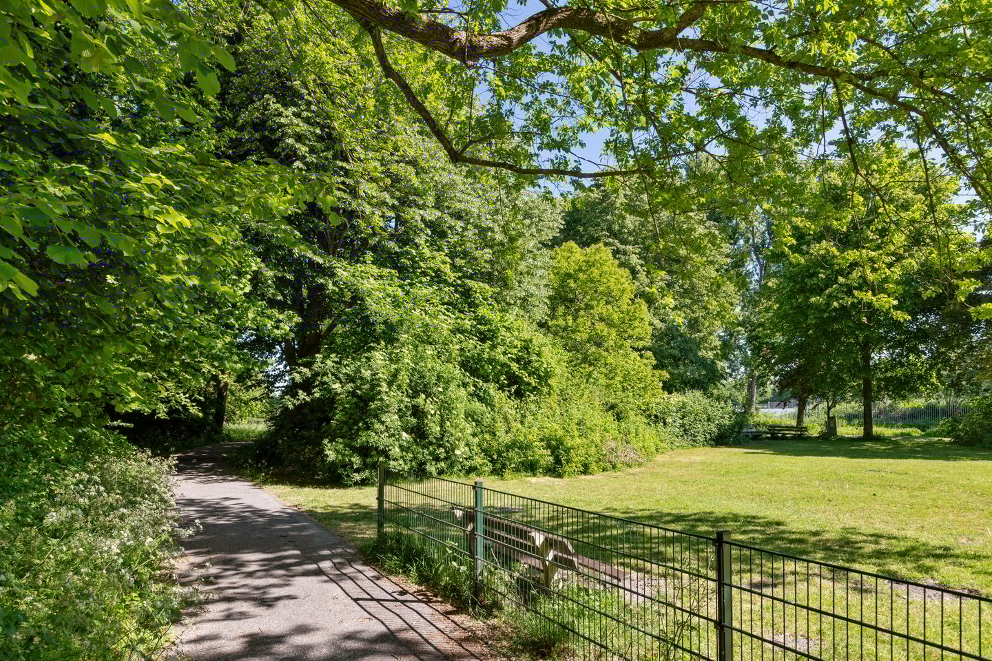 Foto 55 van Berliozstraat 11