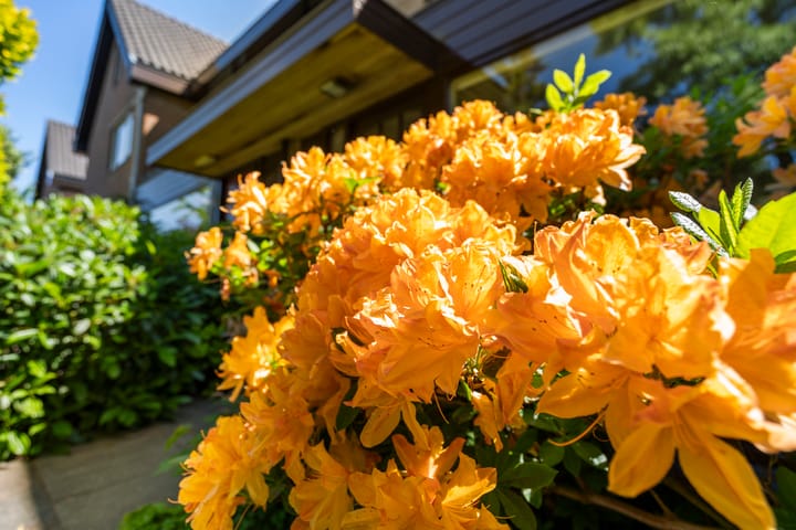 Foto 13 van Breehoven 51