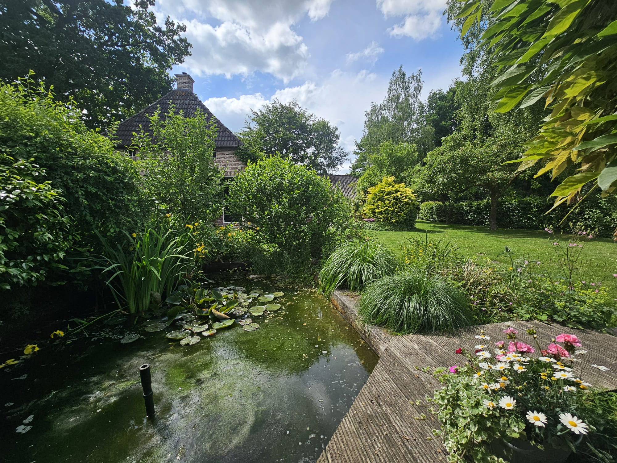 Foto 24 van Wijsterseweg 1