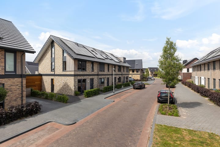 Foto 48 van Strijkmolen 5