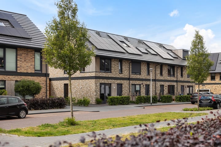 Foto 50 van Strijkmolen 5