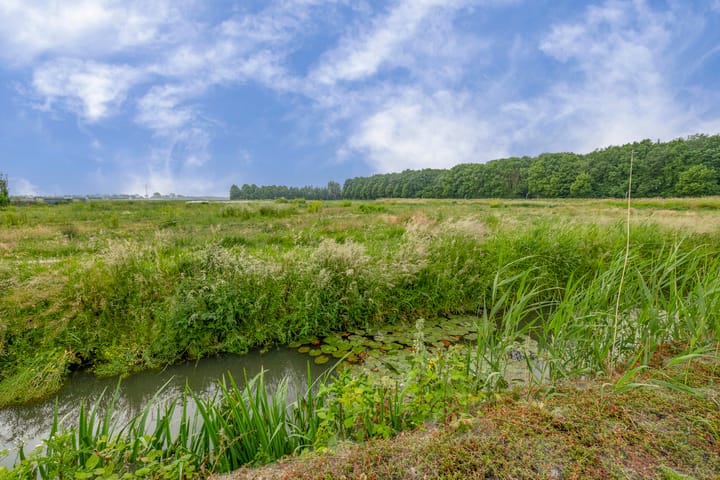 Photo 26 of Johan Frisolaan 38