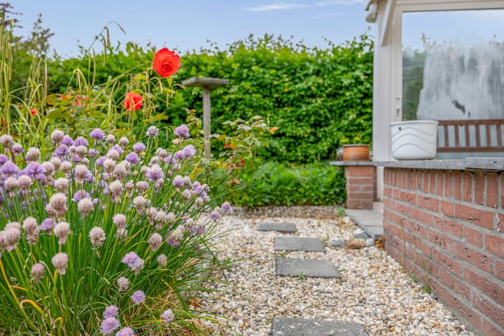 Photo 28 of Johan Frisolaan 38