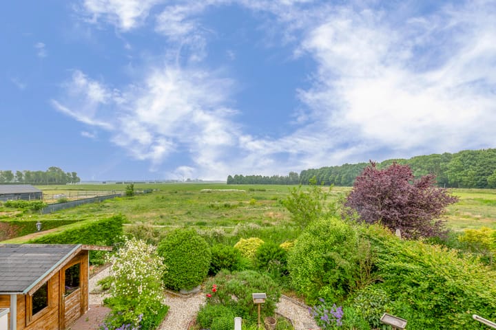 Photo 30 of Johan Frisolaan 38