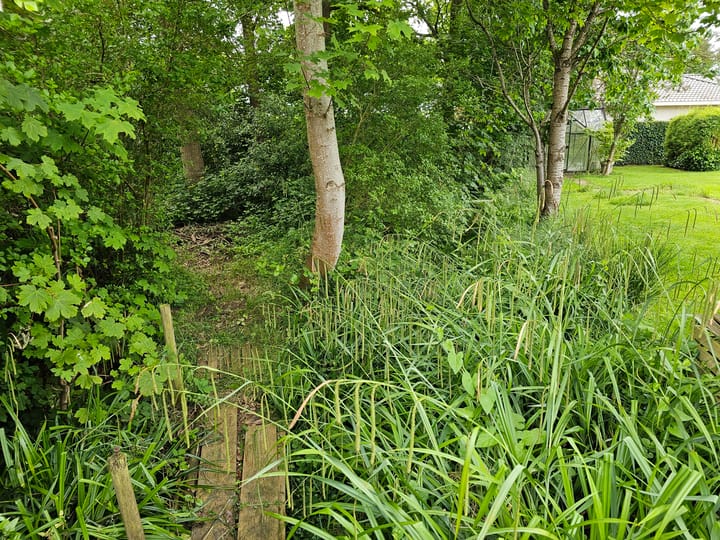 Foto 33 van Maadsingel 45