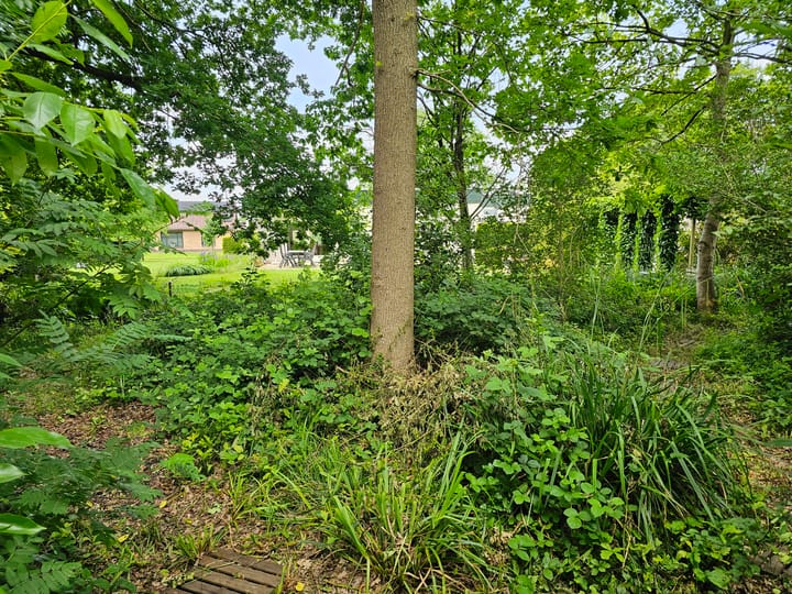 Foto 37 van Maadsingel 45