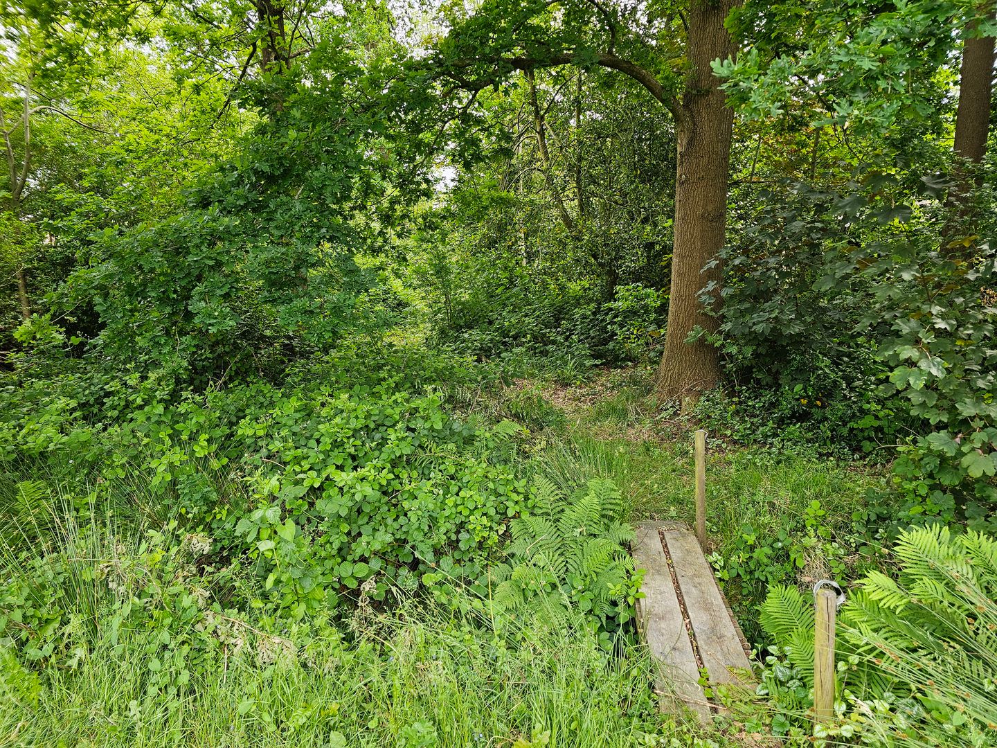 Foto 4 van Maadsingel 45