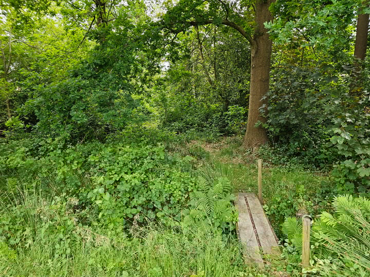 Foto 5 van Maadsingel 45