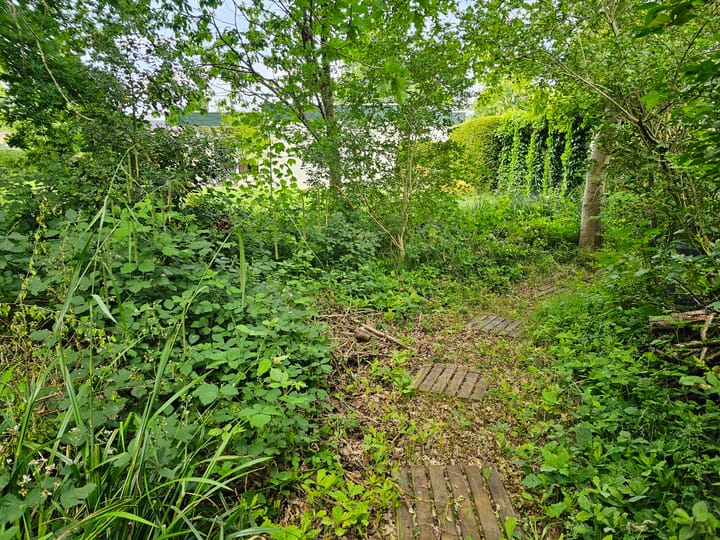 Foto 7 van Maadsingel 45