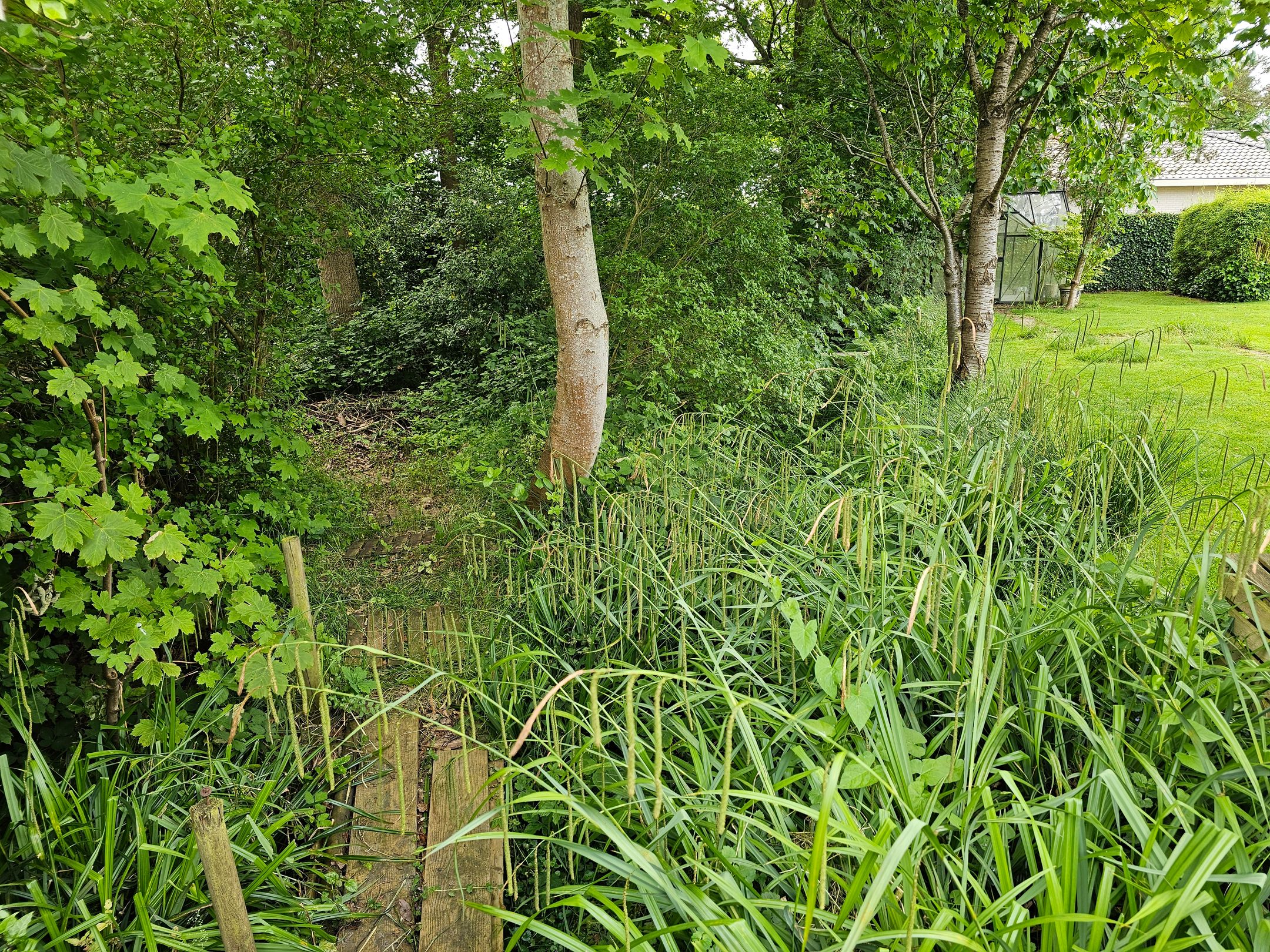 Foto 33 van Maadsingel 45