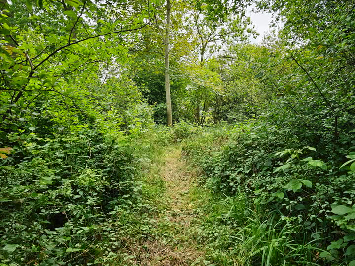 Foto 36 van Maadsingel 45