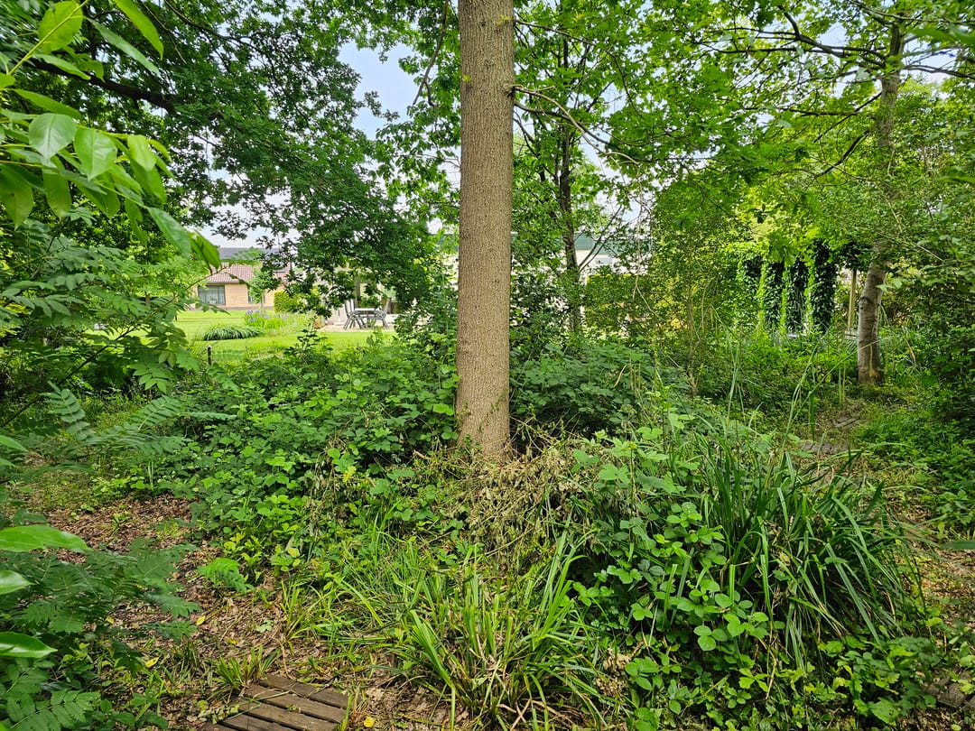 Foto 37 van Maadsingel 45