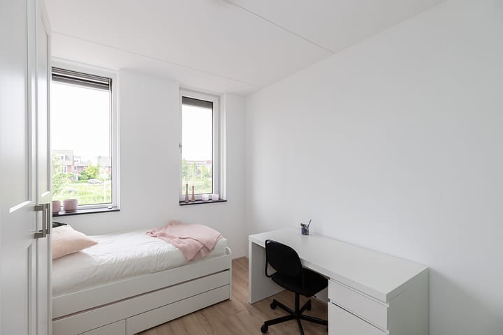 Foto 12 van Sonate 125